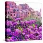 Seaside Village in Liguria-Tosh-Stretched Canvas