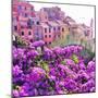 Seaside Village in Liguria-Tosh-Mounted Art Print