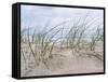 Seaside-Mark Goodall-Framed Stretched Canvas