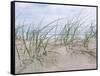 Seaside-Mark Goodall-Framed Stretched Canvas