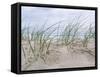 Seaside-Mark Goodall-Framed Stretched Canvas