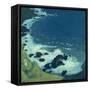Seaside-Maurice Denis-Framed Stretched Canvas