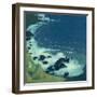 Seaside-Maurice Denis-Framed Giclee Print