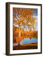 Season Colours-Philippe Sainte-Laudy-Framed Photographic Print