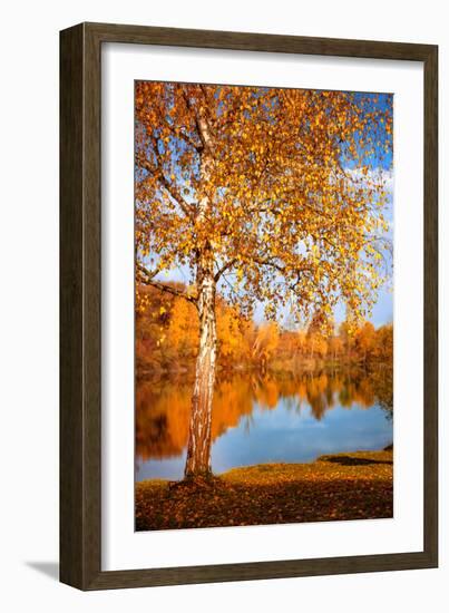 Season Colours-Philippe Sainte-Laudy-Framed Photographic Print