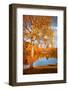 Season Colours-Philippe Sainte-Laudy-Framed Photographic Print