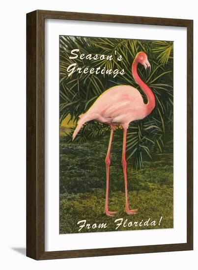 Season Greetings from Florida, Flamingo-null-Framed Art Print