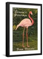 Season Greetings from Florida, Flamingo-null-Framed Art Print