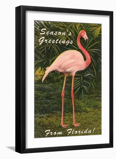 Season Greetings from Florida, Flamingo-null-Framed Art Print