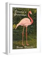 Season Greetings from Florida, Flamingo-null-Framed Art Print