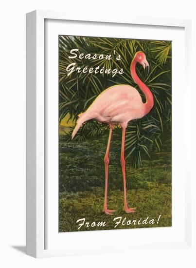 Season Greetings from Florida, Flamingo-null-Framed Art Print