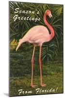 Season Greetings from Florida, Flamingo-null-Mounted Art Print