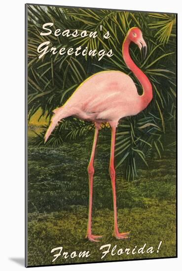 Season Greetings from Florida, Flamingo-null-Mounted Art Print