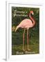 Season Greetings from Florida, Flamingo-null-Framed Art Print