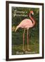 Season Greetings from Florida, Flamingo-null-Framed Art Print