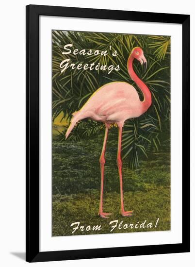 Season Greetings from Florida, Flamingo-null-Framed Art Print