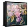 Season of Blossoms-Sarah Gardner-Framed Stretched Canvas
