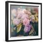 Season of Blossoms-Sarah Gardner-Framed Photographic Print