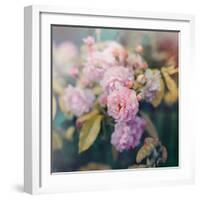 Season of Blossoms-Sarah Gardner-Framed Photographic Print