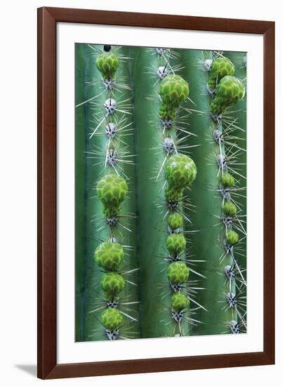 Season of Growth-Michael Greene-Framed Giclee Print