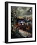 Season Of The Witch-Pol Ledent-Framed Art Print