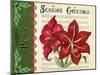 Season's Greetings-Gregory Gorham-Mounted Art Print