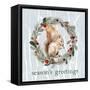 Season's Greetings-Lanie Loreth-Framed Stretched Canvas