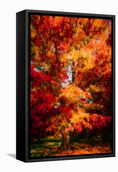 Seasonal Beauty-Philippe Sainte-Laudy-Framed Stretched Canvas