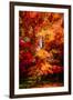 Seasonal Beauty-Philippe Sainte-Laudy-Framed Photographic Print