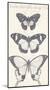 Seasonal Butterflies I-Maria Mendez-Mounted Giclee Print