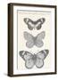 Seasonal Butterflies II-Maria Mendez-Framed Giclee Print