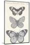 Seasonal Butterflies II-Maria Mendez-Mounted Giclee Print