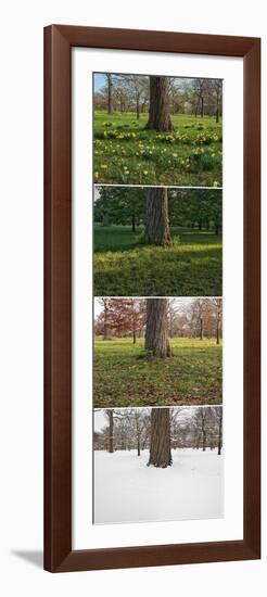 Seasonal Passage Number 1-Steve Gadomski-Framed Photographic Print