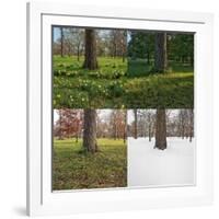 Seasonal Passage Number 3-Steve Gadomski-Framed Photographic Print