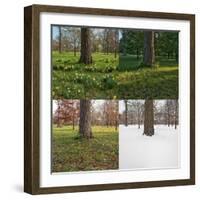 Seasonal Passage Number 3-Steve Gadomski-Framed Photographic Print