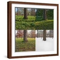 Seasonal Passage Number 3-Steve Gadomski-Framed Photographic Print