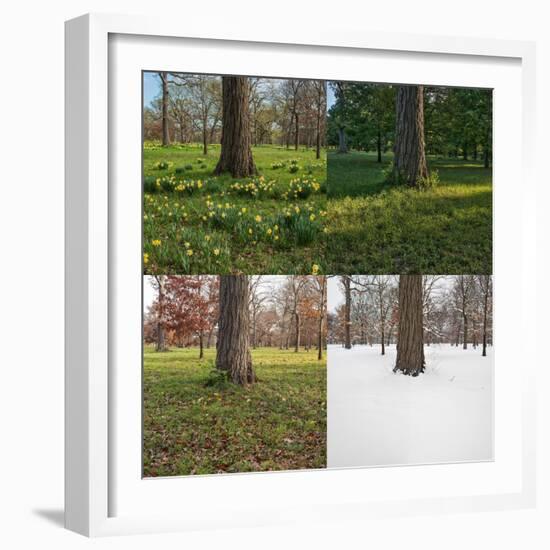 Seasonal Passage Number 3-Steve Gadomski-Framed Photographic Print