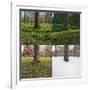 Seasonal Passage Number 3-Steve Gadomski-Framed Photographic Print