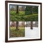 Seasonal Passage Number 3-Steve Gadomski-Framed Photographic Print