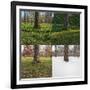 Seasonal Passage Number 3-Steve Gadomski-Framed Photographic Print