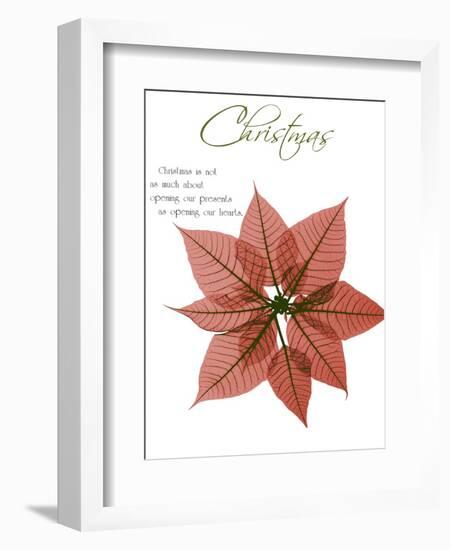 Seasonal Poinsettia 1-Albert Koetsier-Framed Photographic Print