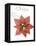 Seasonal Poinsettia 1-Albert Koetsier-Framed Stretched Canvas