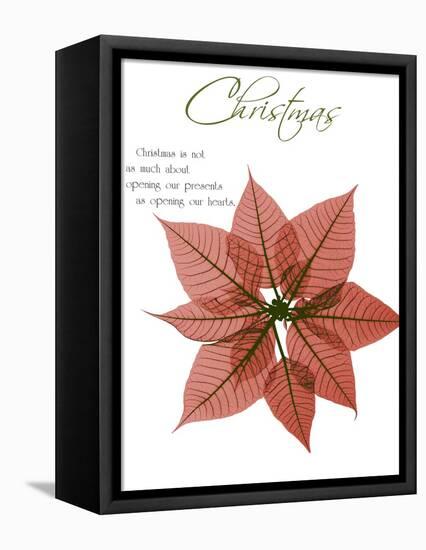 Seasonal Poinsettia 1-Albert Koetsier-Framed Stretched Canvas