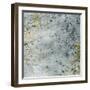 Seasonal Transition IV-Sharon Chandler-Framed Art Print