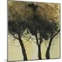 Seasonal Trees III-Susan Brown-Mounted Giclee Print