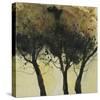 Seasonal Trees III-Susan Brown-Stretched Canvas