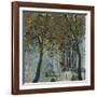 Seasonal Trees V-Susan Brown-Framed Giclee Print