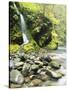 Seasonal Waterfall Near Graves Creek, Olympic National Park, Washington, USA-Stuart Westmoreland-Stretched Canvas