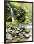 Seasonal Waterfall Near Graves Creek, Olympic National Park, Washington, USA-Stuart Westmoreland-Framed Photographic Print