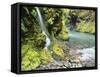 Seasonal Waterfall Near Graves Creek, Olympic National Park, Washington, USA-Stuart Westmoreland-Framed Stretched Canvas